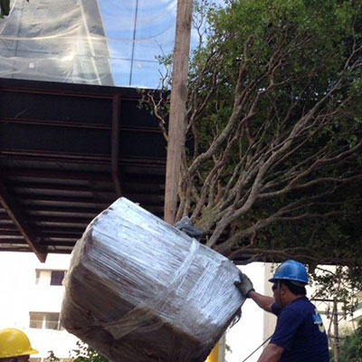 Içamento de Vasos e Plantas